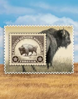 Bison auf Briefmarke