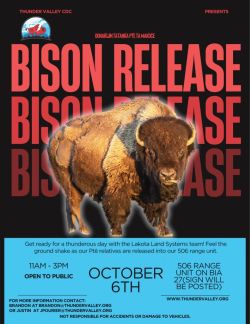 Bison mit Aufschrift Bison Release