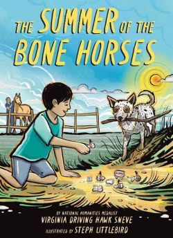 Buch Summer of the Bone Horses